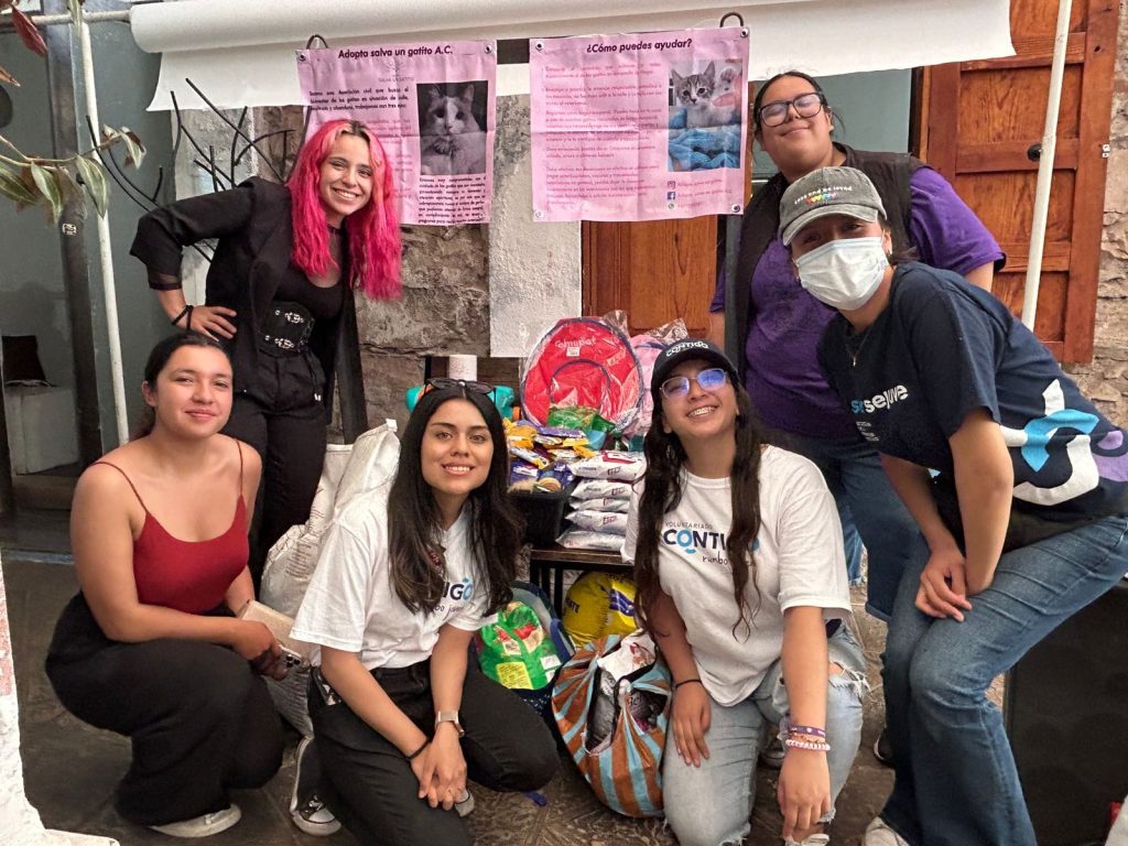 Campaña de Donación para CAMM